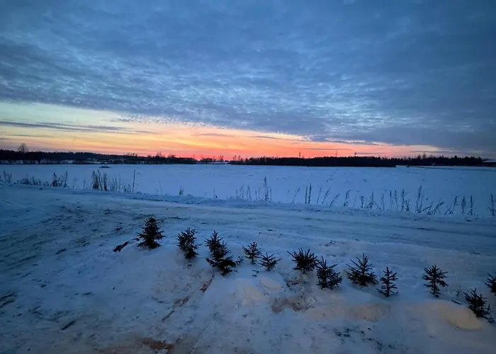 Estberg Glasshouse With Sauna Holiday home